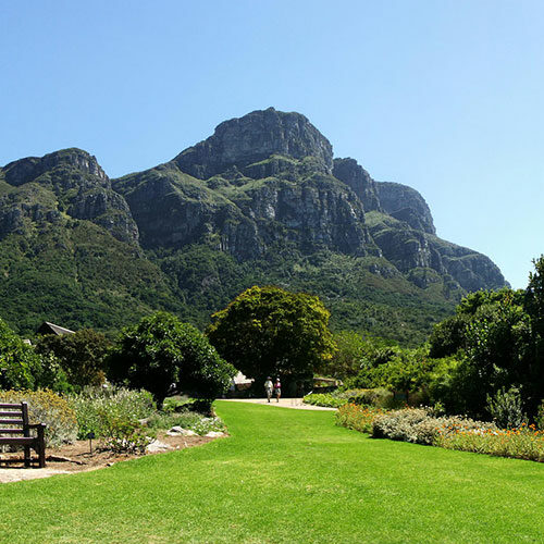 Kirstenbosch